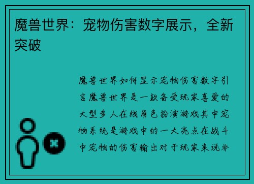 魔兽世界：宠物伤害数字展示，全新突破